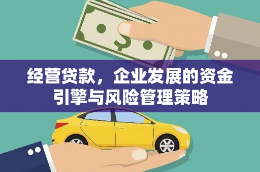 塔什库尔干塔吉克经营贷款，企业发展的资金引擎与风险管理策略