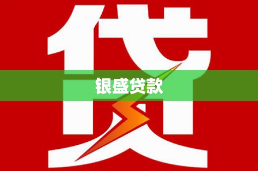 天元银盛贷款