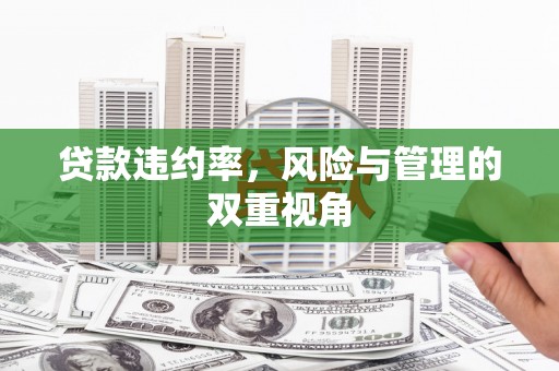 万全贷款违约率，风险与管理的双重视角