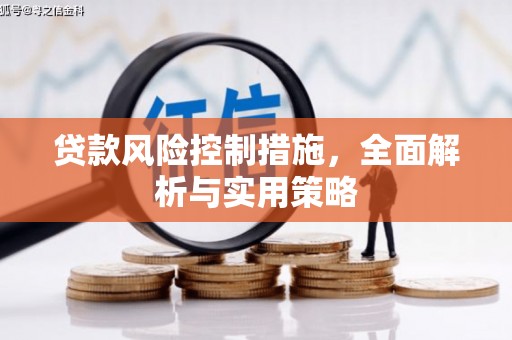 瑞芳贷款风险控制措施，全面解析与实用策略