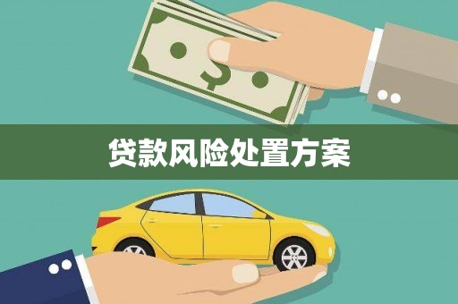 长岭贷款风险处置方案