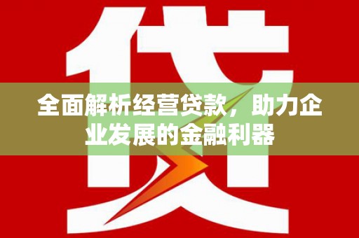 镇赉全面解析经营贷款，助力企业发展的金融利器