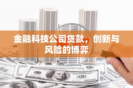 双河金融科技公司贷款，创新与风险的博弈