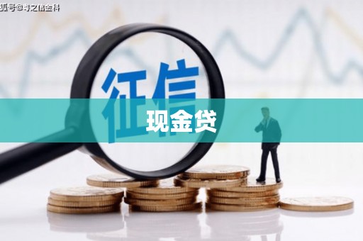 巩留现金贷
