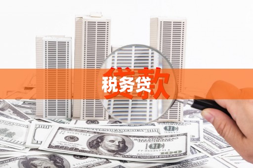 琼中税务贷