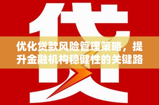 灵宝优化贷款风险管理策略，提升金融机构稳健性的关键路径