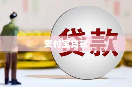 武清支付宝贷款