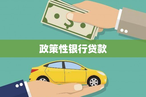 德宏政策性银行贷款