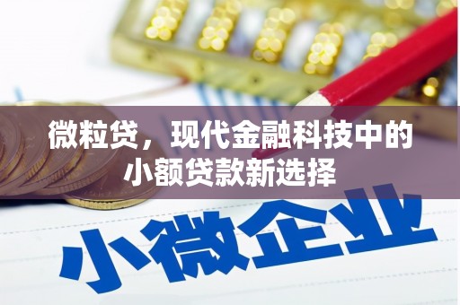 芦淞微粒贷，现代金融科技中的小额贷款新选择