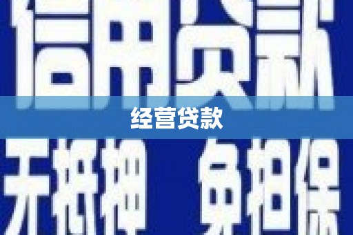 东乡族经营贷款