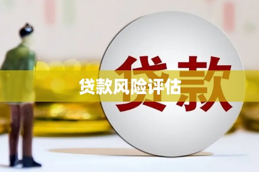 天峨贷款风险评估