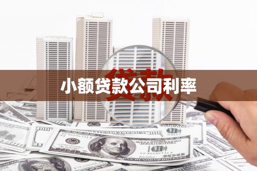 湘东小额贷款公司利率