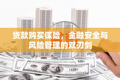丽水贷款购买保险，金融安全与风险管理的双刃剑