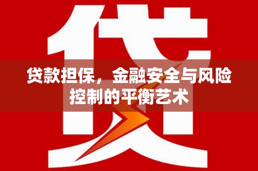 乳源贷款担保，金融安全与风险控制的平衡艺术