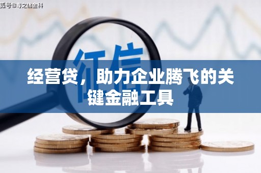 蒲城经营贷，助力企业腾飞的关键金融工具