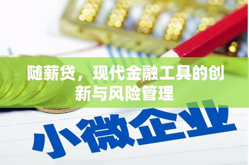 仙桃随薪贷，现代金融工具的创新与风险管理