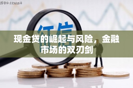 沙依巴克现金贷的崛起与风险，金融市场的双刃剑