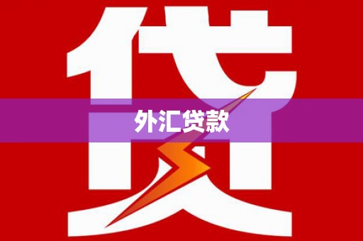 学甲外汇贷款