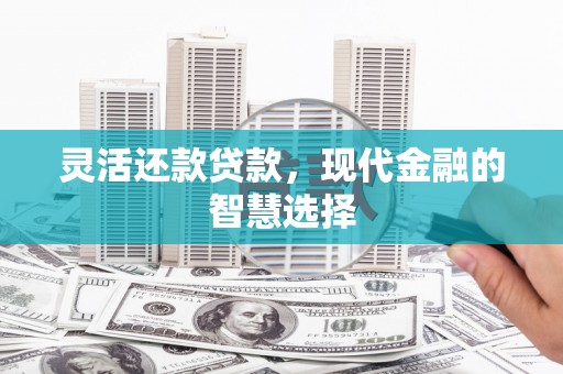 凤城灵活还款贷款，现代金融的智慧选择