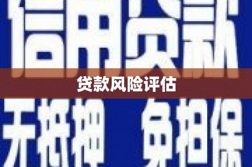 伊川贷款风险评估
