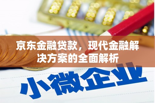 利辛京东金融贷款，现代金融解决方案的全面解析
