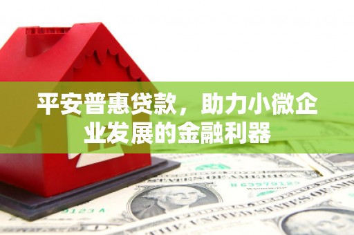 隆子平安普惠贷款，助力小微企业发展的金融利器