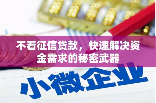 双清不看征信贷款，快速解决资金需求的秘密武器