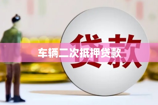 林园车辆二次抵押贷款