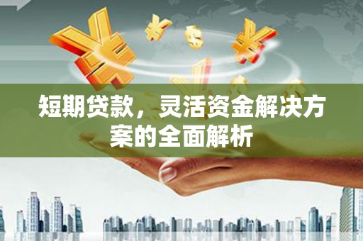 延平短期贷款，灵活资金解决方案的全面解析