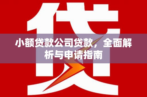 荃湾小额贷款公司贷款，全面解析与申请指南