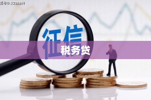 枞阳税务贷