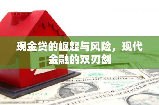 陆川现金贷的崛起与风险，现代金融的双刃剑
