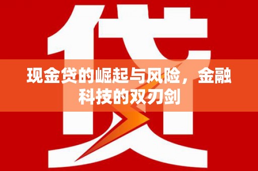 临邑现金贷的崛起与风险，金融科技的双刃剑