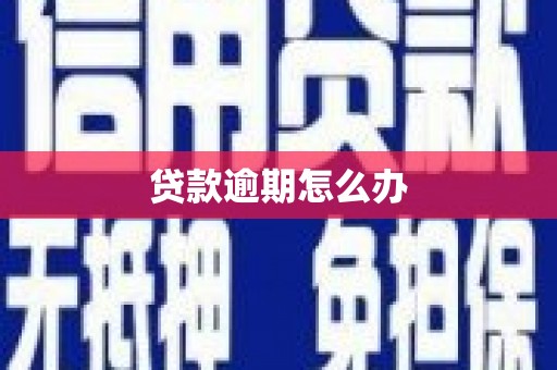 延安贷款逾期怎么办