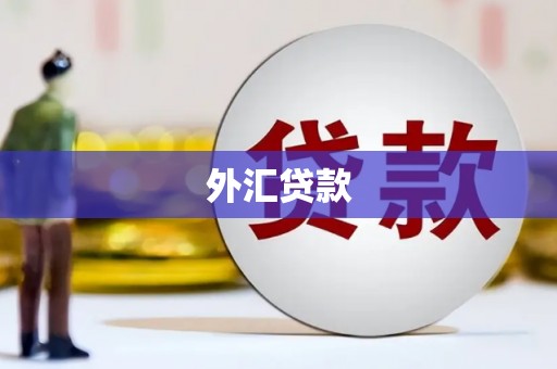 屯留外汇贷款