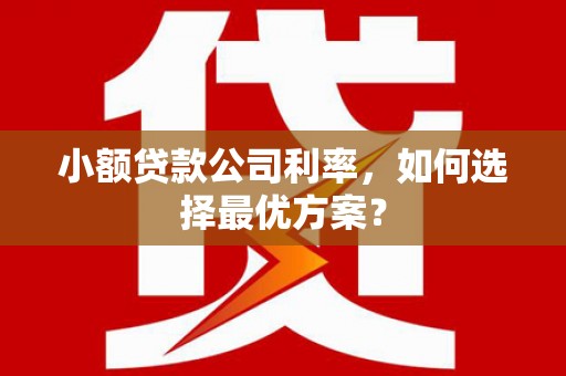 山上小额贷款公司利率，如何选择最优方案？