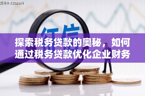 桐庐探索税务贷款的奥秘，如何通过税务贷款优化企业财务
