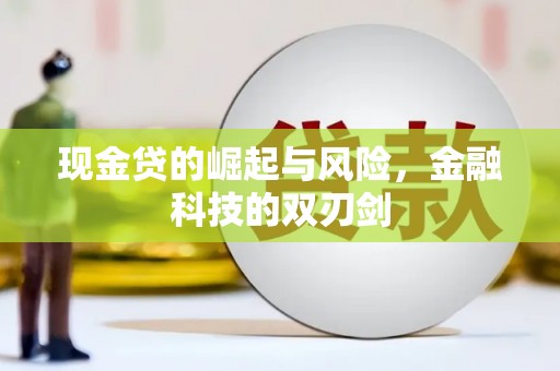 嘉兴现金贷的崛起与风险，金融科技的双刃剑