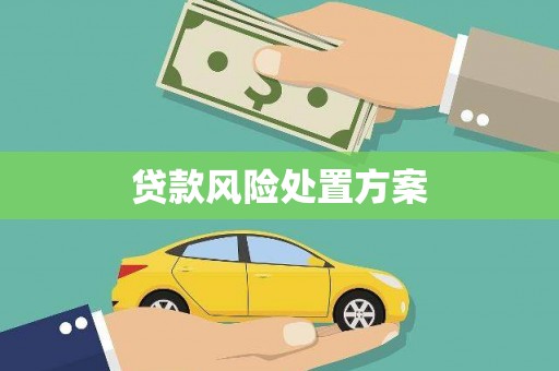 清城贷款风险处置方案