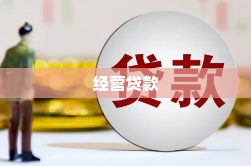 叶县经营贷款