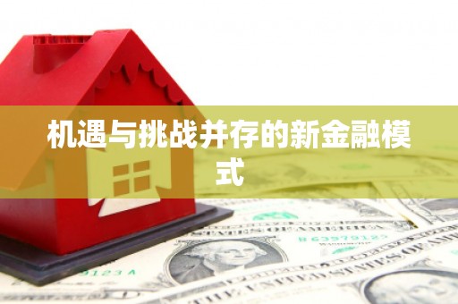 林甸机遇与挑战并存的新金融模式