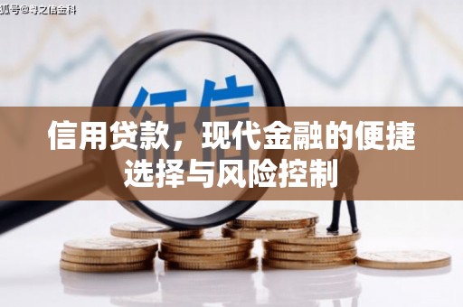 汉源信用贷款，现代金融的便捷选择与风险控制