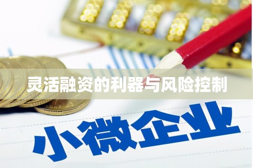 南皮灵活融资的利器与风险控制