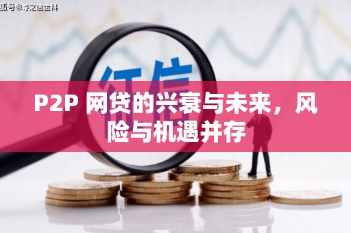 裕安P2P 网贷的兴衰与未来，风险与机遇并存