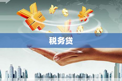 德宏税务贷