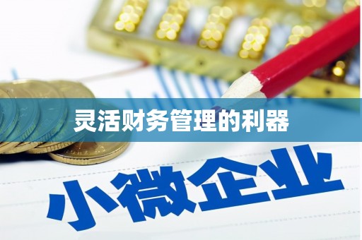 汝阳灵活财务管理的利器