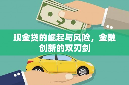 惠农现金贷的崛起与风险，金融创新的双刃剑