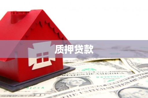 泌阳质押贷款