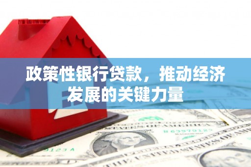 达孜政策性银行贷款，推动经济发展的关键力量