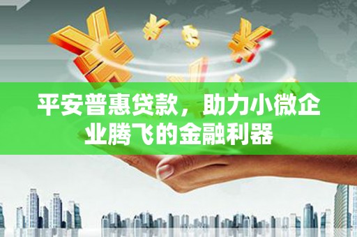 舞阳平安普惠贷款，助力小微企业腾飞的金融利器